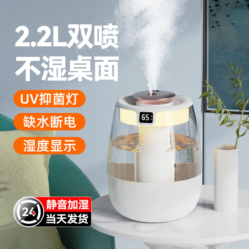 Latest 2025 review! wireless dual-nozzle humidifier: silent, portable ...