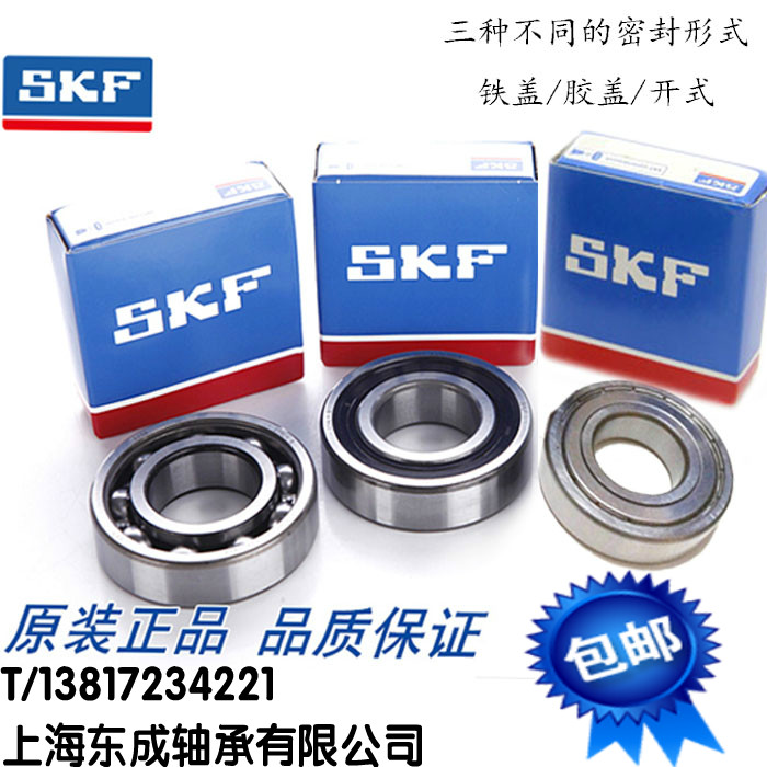 Sweden SKF Bearings 63000 63001 63002 63003 63004 63005-2RS