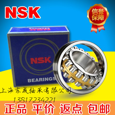 NSK Bearings 22219 22220 22222 22224 22226 22228 22230CAME4 K E EK