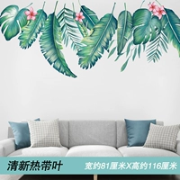 15 Свежий тропический лист (новое издание)