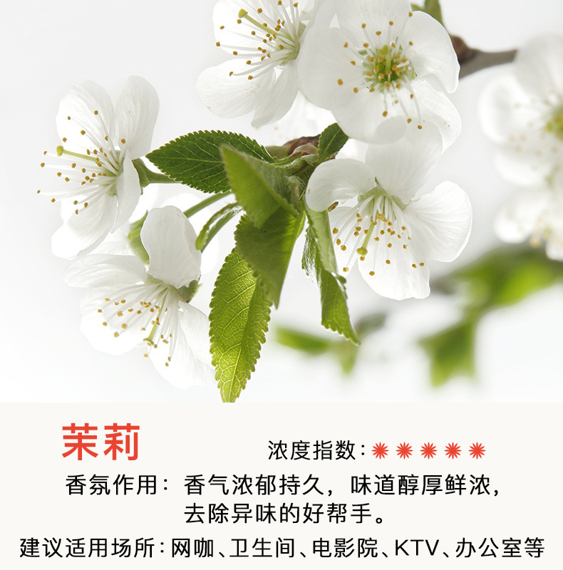 nước lau sàn sunlight 3.8 kg 3 chai không khí làm mát phòng tắm nước hoa phòng ngủ hương thơm kéo dài trong nhà khử mùi trong nhà vệ sinh khử mùi hương liệu - Trang chủ dung dịch tẩy dầu mỡ nhà bếp