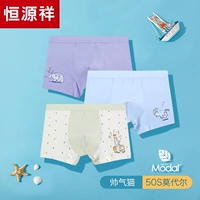 Красивый кот【мальчик】