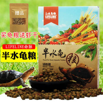 ອາຫານເຕົ່າທີ່ມີຊີວິດຊີວາ, ອາຫານເຕົ່າ, ອາຫານເຕົ່າເຄິ່ງນ້ໍາ, ອາຫານເຕົ່າຂອບສີເຫຼືອງ, ອາຫານເຕົ່າເງິນ, ອາຫານເຕົ່າ, ອາຫານເຕົ່າທີ່ມີທາດການຊຽມສູງ