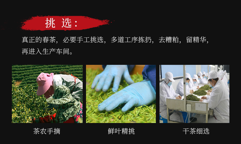 宋茗2021年新茶安吉白茶100g