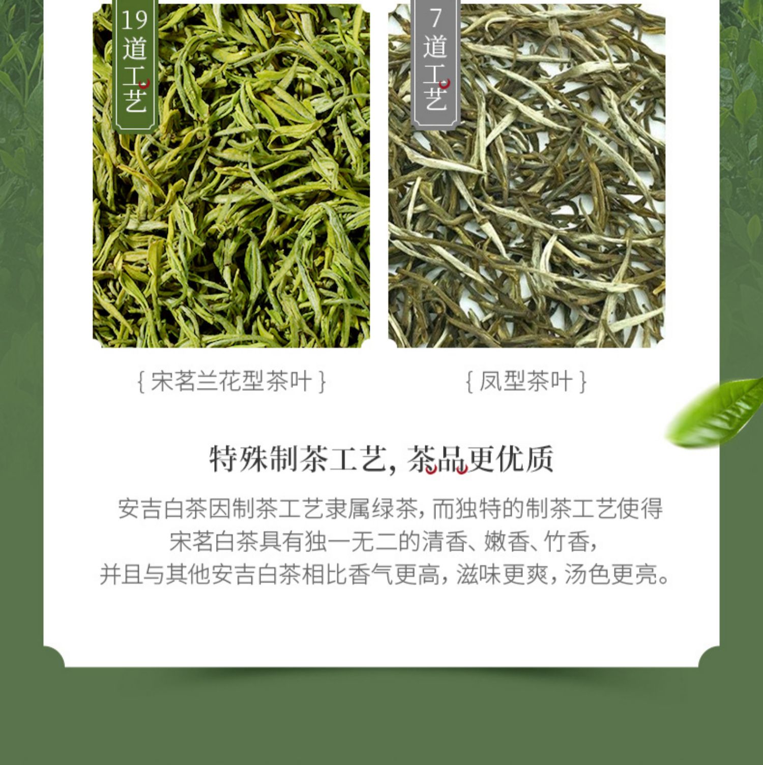 宋茗2021年新茶安吉白茶100g