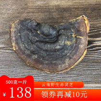Yunnan wild red Lingzhi 500g catty with no handle whole branch Zhengzong Linzhi Sesame Can Be Sliced To Powder Deep Mountain Dry Goods