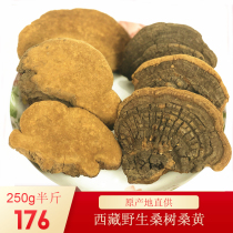 Authentic Tibetan wild mulberry tree mulberry yellow pore fungus Phnom Penh Lingzhi Sesame Cheese Can Be Sliced Powder 250g Dry Goods Whole Branches