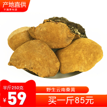 Authentic pruning pure wild Yunnan Mulberry Mulberry Ganoderma lucidum 250g and half a catty of Phnom Penh can be sliced and beaten whole dried goods