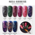 Blueplace Nail Double Head Pattern Magnet Pen Cat Eye Gel Từ Bút DIY Plum Branding Printing Tool Pen - Công cụ Nail kìm cắt móng chân Công cụ Nail