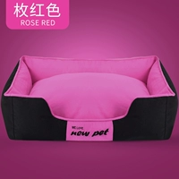 Роза красная