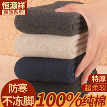 Hengyuanxiang socks mens cotton thick plus velvet Spring and Autumn long tube warm autumn winter towel thick cotton mens socks