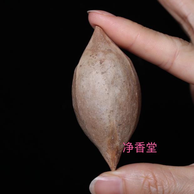 Imported Indonesia, Brazil, South America, oversized long olive nucleus original seed prokaryotic raw material long nucleus Guanyin material machine handmade