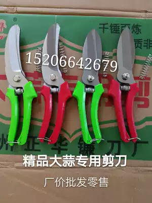 Garlic special scissors garlic tool scissors garlic scissors garlic scissors garlic scissors garlic cutting garlic knives