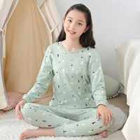 20618 Вся модель хлопка