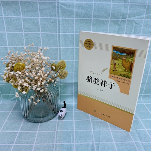 Camel Xiangzi Laoshe написал второй том седьмого класса второго тома народного образовательного издания Синхронное чтение знаменитых книг в 20 000 миль под морем для внеклассного экспансии чтения первичных и средних школ. Пресс для образовательных и средних школ Синьхуа подлинная книга