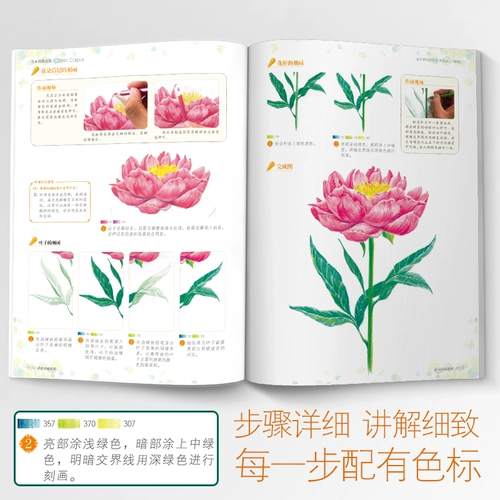 Редактор -in -chief of Yang Jianfei, основной учебник по цвету лидерство; Wu Shengwei, Tan Lu отредактировал искусство и ремесла (новое) искусство Синьхуа Книжный магазин Тибетские книги Китайский книжный магазин издательство