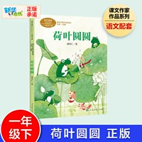 Лотосовый лист вокруг