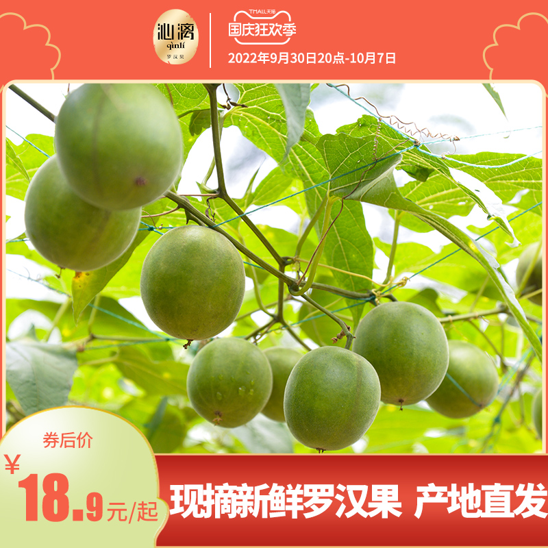 Qinli fresh Luohanguo fruit Guangxi Guilin specialty Yongfu green Luohanguo fresh fruit yellow skin Luohan tea in bulk