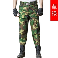 Травяные штаны