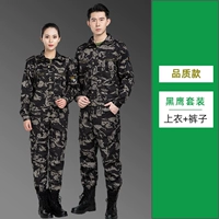 Качественный, черный орел