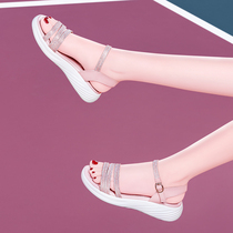 Sandals women 2021 New Fashion outside wear flat heel summer Net red ins fairy Super fire pink soft bottom sandals