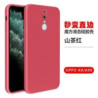 Oppo A9/A9X 【Hawthorn Red】