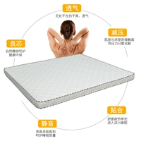 Nệm dừa Dream Mat 3E cọ dừa cứng đôi đơn nệm 1,8m1,5 m 1,2 mỏng có thể tùy chỉnh gấp - Nệm nệm 1m8