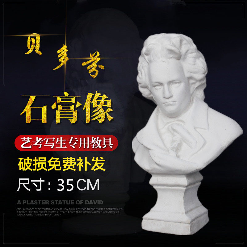 Beethoven Gypsum statue of 35cm fine art scripture of still life painting drawing image of statue sculpture Beethoven