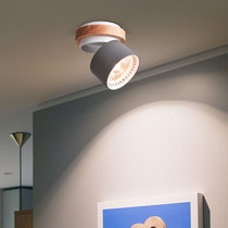 Surface mounted downlight adjustable angle 2021 new ceiling lamp Corridor aisle lamp cloakroom background wall spot light