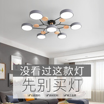 Living room lamp small apartment Nordic style modern simple designer creative bedroom light luxury Net red restaurant ceiling lamp