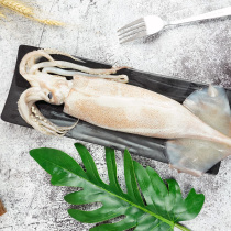 Iron plate squid fresh live squid big squid fresh live squid fresh squid fresh squid fresh live squid fresh squid fresh live squid 12 5 yuan 250g