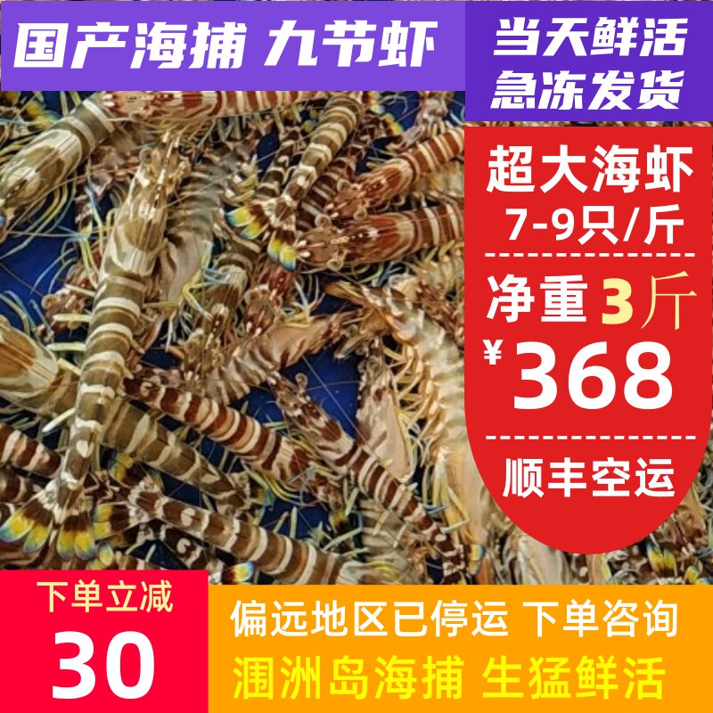 Domestic sea fishing prawn nine shrimp 3 kg 1500g Weizhou Island sea shrimp oversized spotted shrimp bluetail flower shrimp bamboo shrimp
