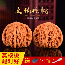 Wen plays the walnut playing plate playing four buildings of lion heads boutique hands pieces of wild officer hat handle playing with men