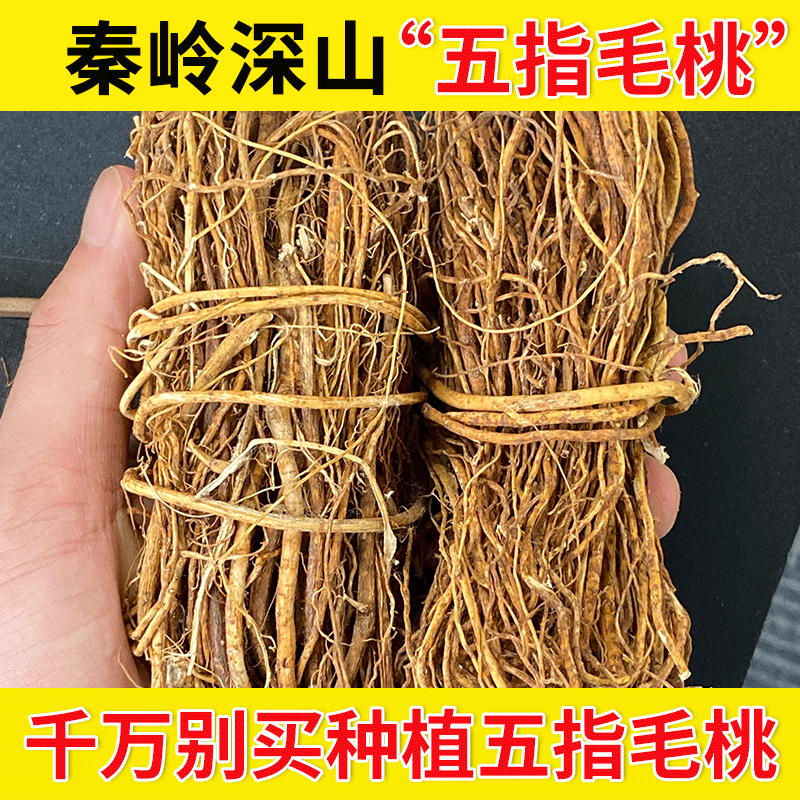 Deep Mountain Five-Fingered Peach Root 500g Official Genuine Product with Smilax, Gorgon Fruit, and Moshui Chicken Soup Ingredients for Soup Making