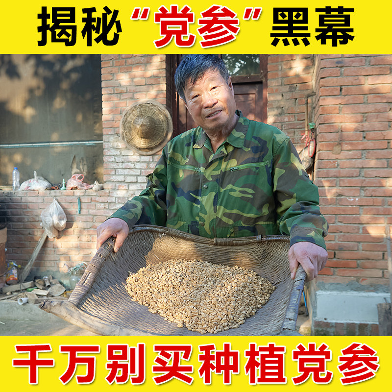 Codonopsis Chinese herbal medicine 250g dry slices can be combined with Angelica Astragalus, Chinese wolfberry and red dates to supplement the non-Tongrentang Qi