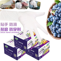 Disposable Ding Qing long note waterproof dishwashing laundry housework food catering beauty latex rubber gloves thick
