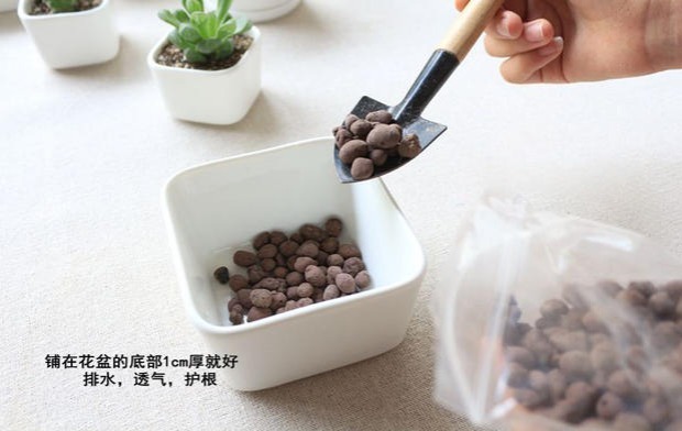 Ceramsite cung cấp làm vườn trung bình mọng nước bộ làm vườn mini