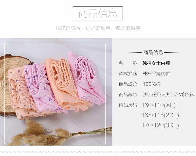 Slip Moyen-âge FDD6003K en coton - Ref 645077 Image 7