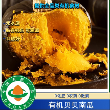 Organic beibei pumpkin 5 jin jin is equal to 0.5 kg. it is packed with organic certification and is free of pesticide residues. it tastes good. sf baby food supplement is free of pesticide residues.