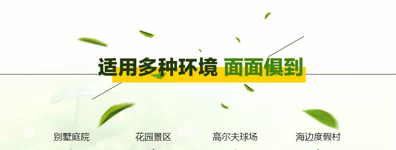 Tmall_17.jpg