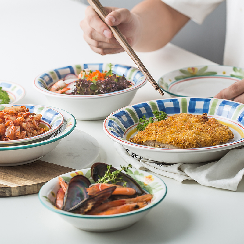 Brand preference hand - made Japanese ceramic dinner plate household creative special dish plate of fruit salad all the plates