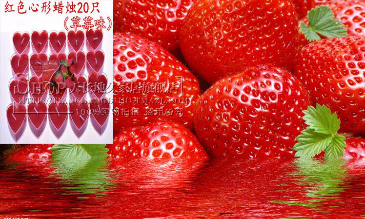 Bougie      - Ref 2488138 Image 9