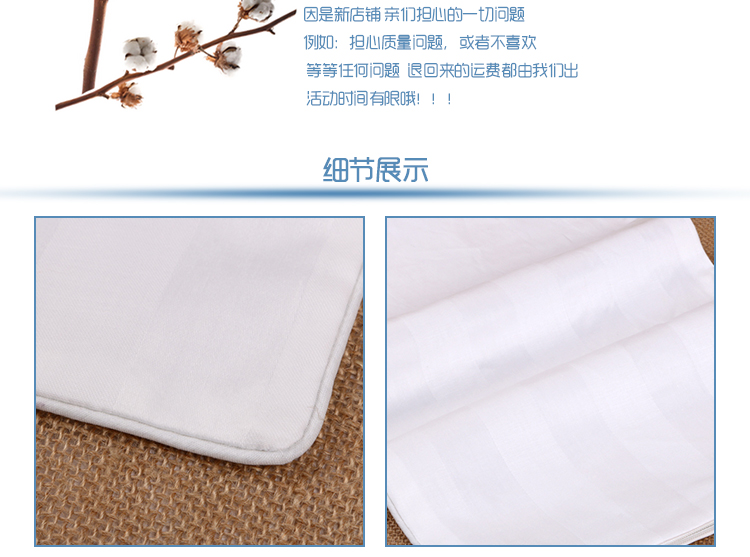 Bông gối bên trong tay áo trẻ em người lớn với dây kéo gối da bông satin túi có thể được nạp với kiều mạch trấu