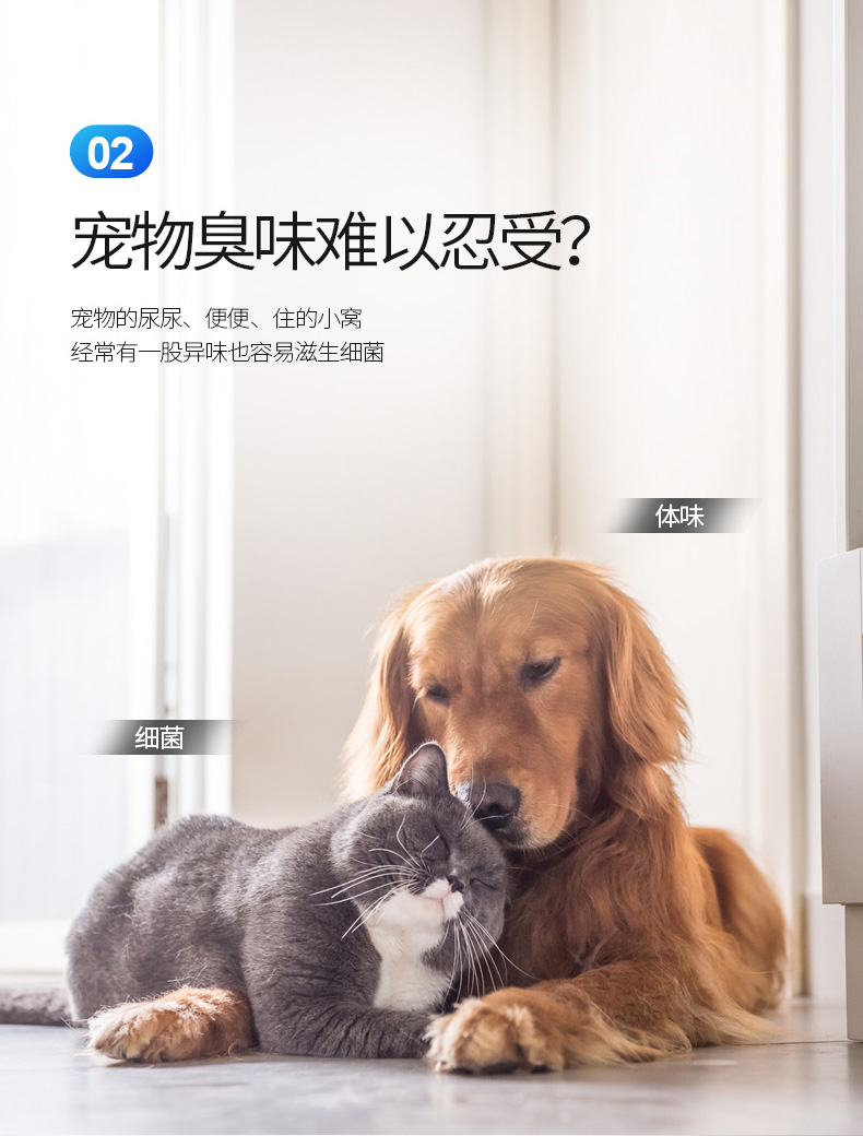 瑞德摩尔 负离子臭氧 去味除醛净化消毒机 图4