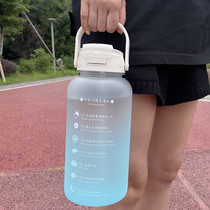 Large-capacity anti-fall plastic straw water cup ins portable summer large teapot high-value sports water bottle