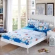 Giường cotton giường đơn 1,5 / 1,8 m Giường bọc nệm Simmons hoạt hình trải giường bằng vải bông chống trượt