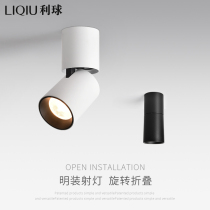 Min Loaded Spotlight Led Ceiling Lamp Home Free open pore Nordic ceiling Living room concentrating COB cylinder light suction top spot light