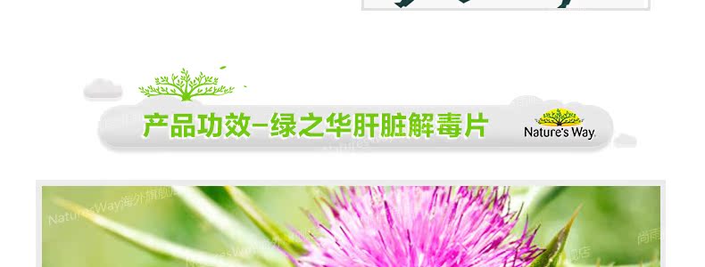 naturesway澳洲肝脏排毒片120粒奶蓟草解酒保肝 成人肝脏护理片 产品系列 第17张 naturesway澳洲肝脏排毒片120粒奶蓟草解酒保肝 成人肝脏护理片 产品系列 第17张