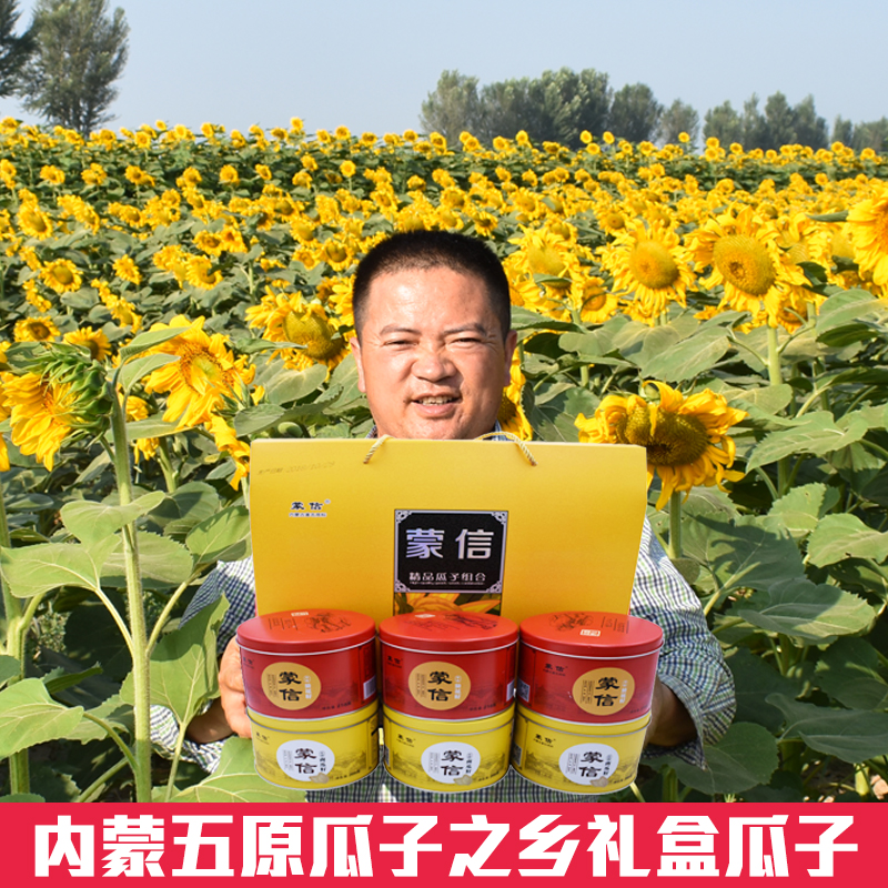 Inner Mongolia original large grain sunflower seeds Melon seeds Nuts fried leisure snacks Mengxin Wedding gift box six cans