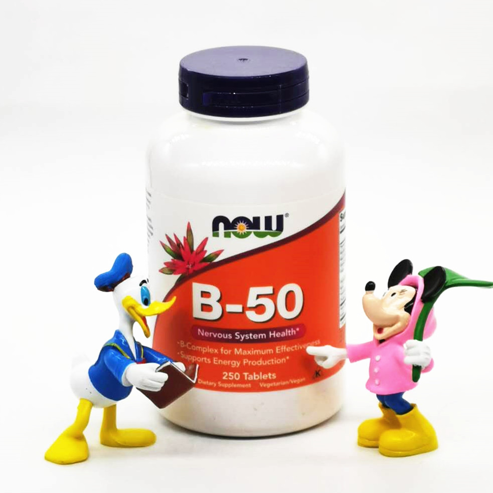 2026年宠物复合维生素B怎么选？猫狗都需要综合VB营养补充吗？